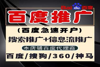 百度推广平台案例剖析：揭秘广告投放策略